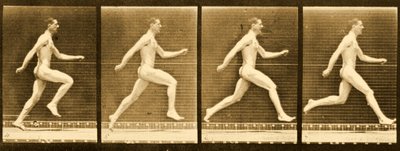 Sequenza di immagini dalla serie 